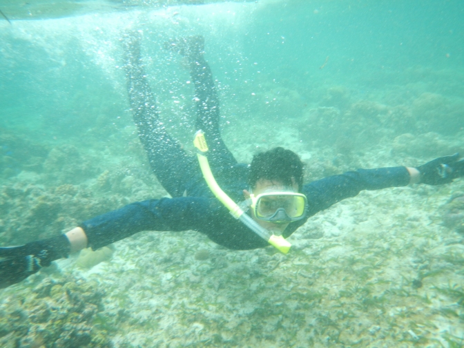 Actually, flying and swimming is the same: moving inside a fluid; wether it is air or water hehe. BTW, I really do love this snorkeling experiences